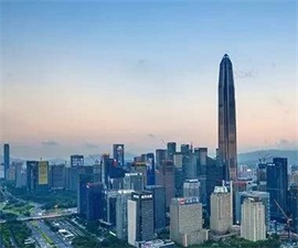 深圳市東風南方汽車進出口有限公司